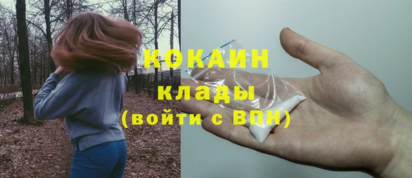 дурь Горняк