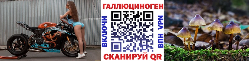 Псилоцибиновые грибы прущие грибы  Пенза 